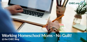 Working Homeschool Moms - No Guilt!