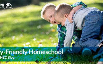 A Boy-Friendly Homeschool