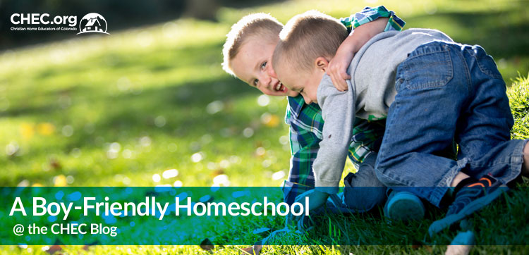 A-Boy-Friendly-Homeschool Boys Wrestling