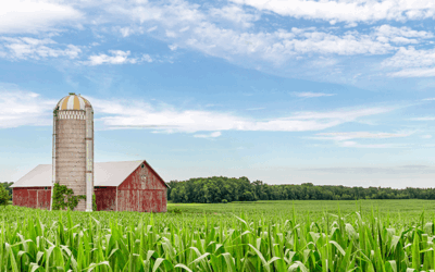 What is Your ‘Family Economy’?