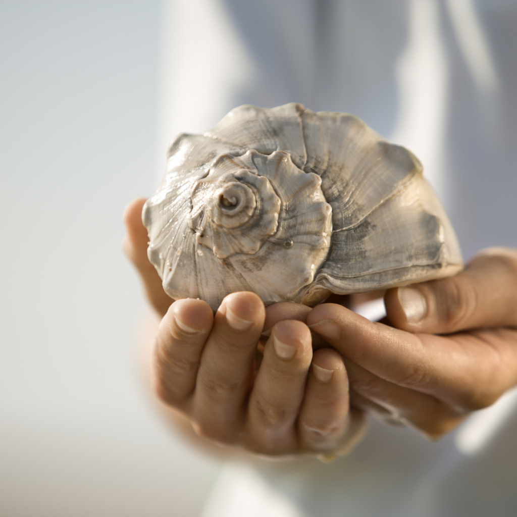 Discipleship through math: Fibonacci sequence