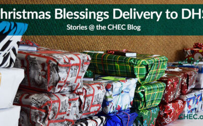Stories: Christmas Blessings Delivery to DHS