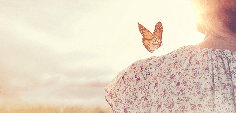 Butterfly-sunshine-blog-header