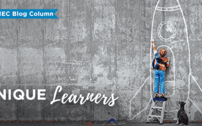 Anchored and Connected: Relationship Goals for You and Your Unique Learner