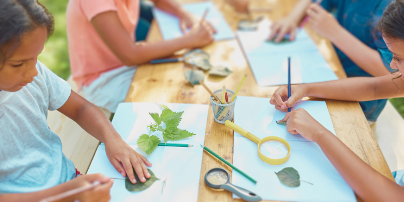 Starting a homeschool co-op
