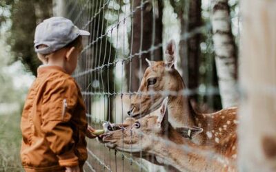 Instilling a Love of Learning