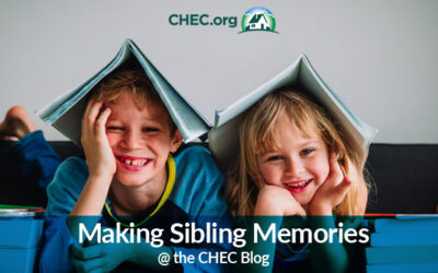 Making Sibling Memories