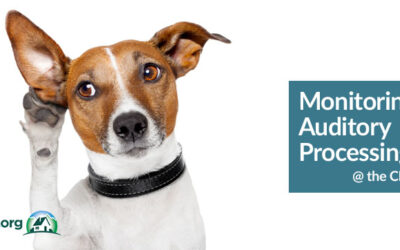 Monitoring Auditory Processing