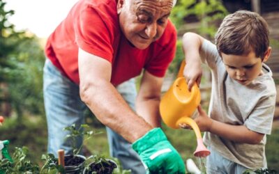 10 Summer Activities that Teach