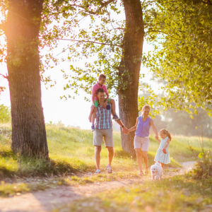 Spring Fever Survival Guide: 7 Stress-Free Ways to Take Your Homeschool Outdoors