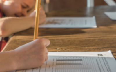 Why Homeschool Testing & Assessments Are a Tool, Not a Toil