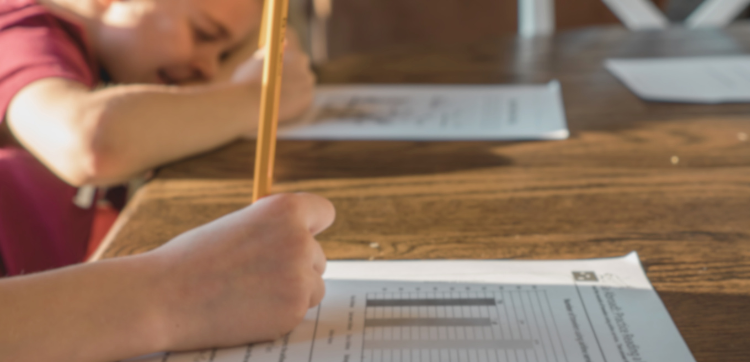 Why Homeschool Testing & Assessments Are a Tool, Not a Toil