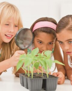 Why Simple Homeschool Co-ops Stand the Test of Time