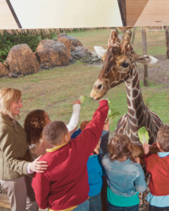 Reclaiming Homeschool Enrichment: Start a Family-Friendly Homeschool Group